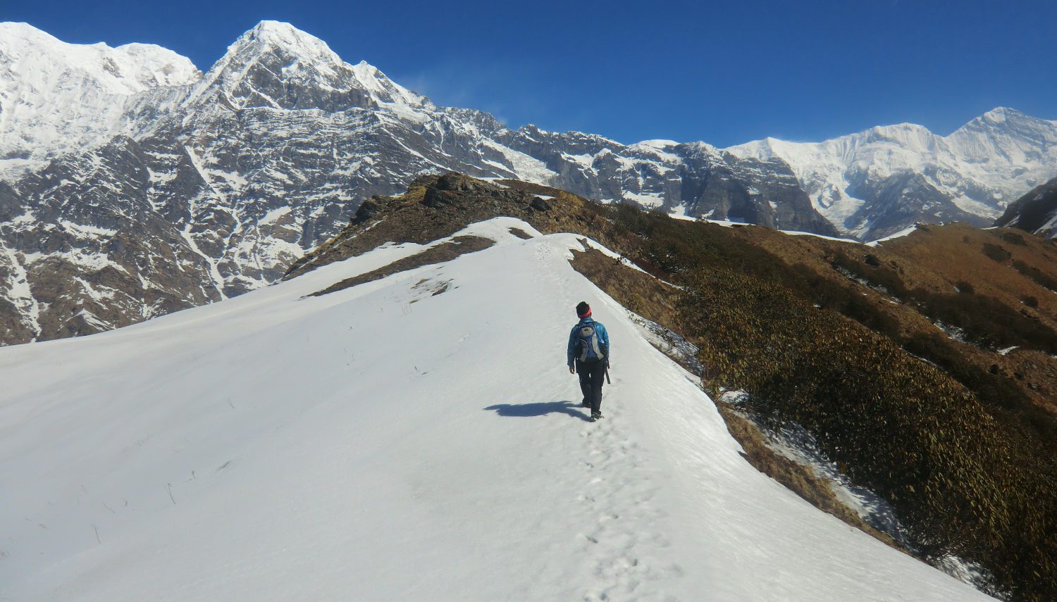 Contact | mahesh rai